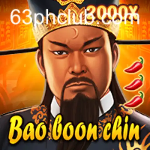 Unraveling the World of BaoBoonChin: A Comprehensive Guide